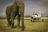 P-750XL in Africa